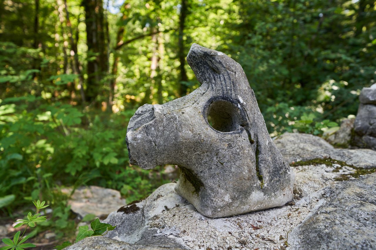 Sentier karstique des Malrochers à Besain, près de Poligny 13